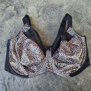 Goddess Kayla Eden Storm Leopard Print Women's Underwire Bra 40I